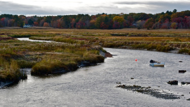 Stillwell,Maine Wetland